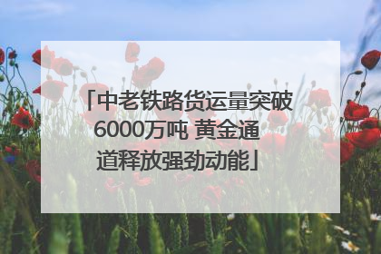 中老铁路货运量突破6000万吨 黄金通道释放强劲动能