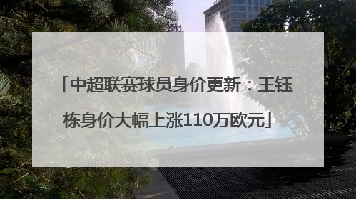 中超联赛球员身价更新：王钰栋身价大幅上涨110万欧元