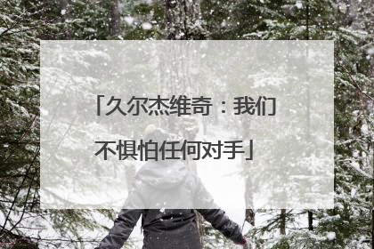 久尔杰维奇：我们不惧怕任何对手