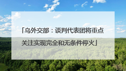乌外交部：谈判代表团将重点关注实现完全和无条件停火