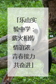 乐山实验中学：薪火相传情谊浓，青春接力共奋进