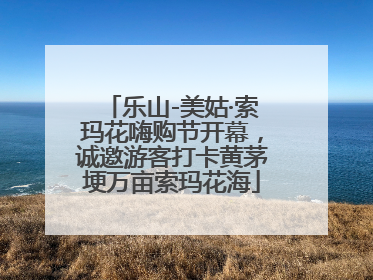 乐山-美姑·索玛花嗨购节开幕，诚邀游客打卡黄茅埂万亩索玛花海