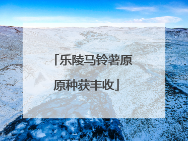 乐陵马铃薯原原种获丰收