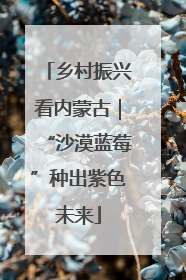 乡村振兴看内蒙古｜“沙漠蓝莓”种出紫色未来