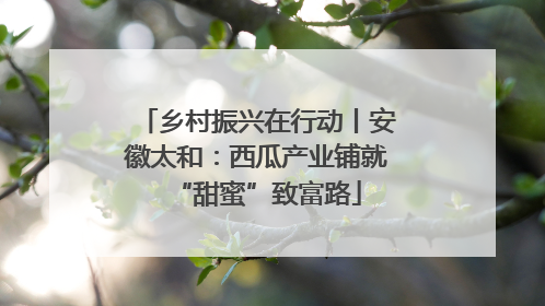 乡村振兴在行动丨安徽太和：西瓜产业铺就“甜蜜”致富路