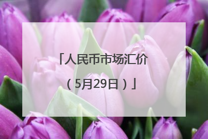 人民币市场汇价（5月29日）