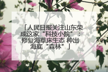 人民日报关注山东荣成这家“科技小院”：修复海草床生态 种出海底“森林”