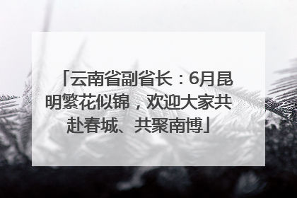 云南省副省长：6月昆明繁花似锦，欢迎大家共赴春城、共聚南博