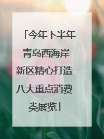 今年下半年 青岛西海岸新区精心打造八大重点消费类展览