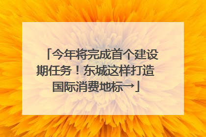 今年将完成首个建设期任务！东城这样打造国际消费地标→