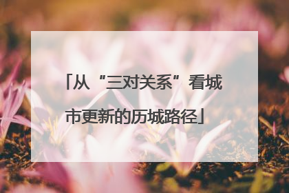 从“三对关系”看城市更新的历城路径