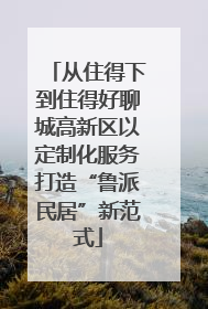 从住得下到住得好聊城高新区以定制化服务打造“鲁派民居”新范式