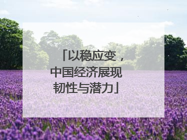 以稳应变，中国经济展现韧性与潜力