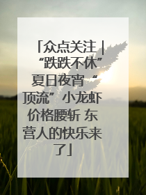 众点关注｜“跌跌不休” 夏日夜宵“顶流”小龙虾价格腰斩 东营人的快乐来了