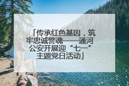 传承红色基因，筑牢忠诚警魂——通河公安开展迎“七一”主题党日活动