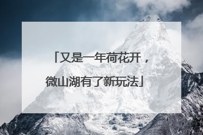 又是一年荷花开，微山湖有了新玩法