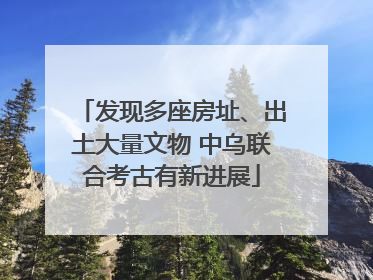 发现多座房址、出土大量文物 中乌联合考古有新进展
