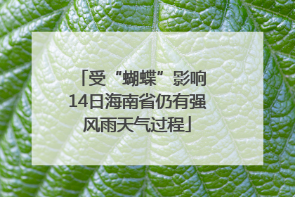 受“蝴蝶”影响 14日海南省仍有强风雨天气过程