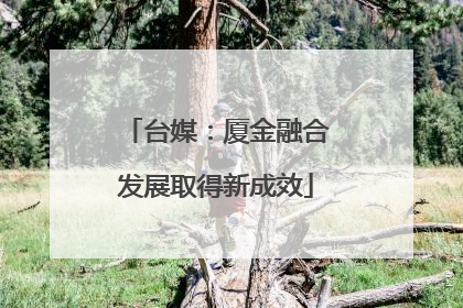 台媒：厦金融合发展取得新成效