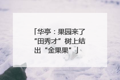 华亭：果园来了“田秀才”树上结出“金果果”
