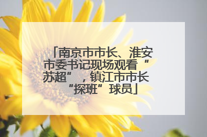 南京市市长、淮安市委书记现场观看“苏超”，镇江市市长“探班”球员