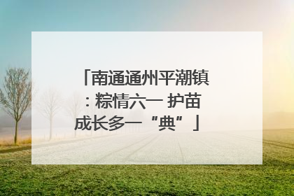 南通通州平潮镇：粽情六一 护苗成长多一“典”