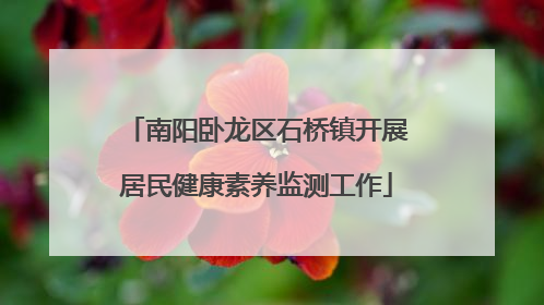 南阳卧龙区石桥镇开展居民健康素养监测工作