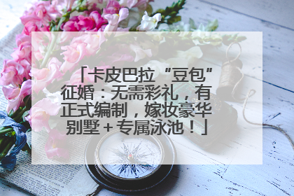 卡皮巴拉“豆包”征婚：无需彩礼，有正式编制，嫁妆豪华别墅＋专属泳池！