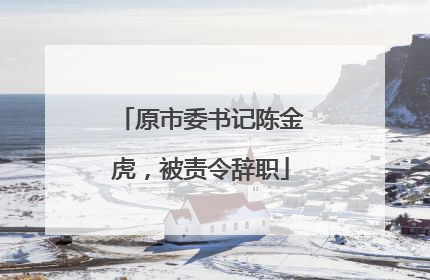 原市委书记陈金虎，被责令辞职