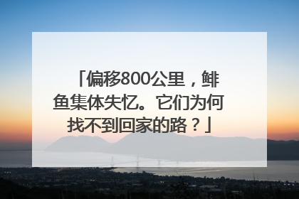 偏移800公里，鲱鱼集体失忆。它们为何找不到回家的路？