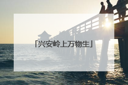 兴安岭上万物生