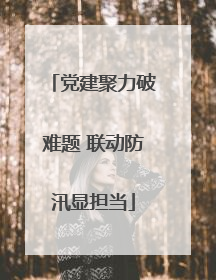 党建聚力破难题 联动防汛显担当