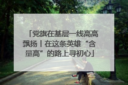 党旗在基层一线高高飘扬丨在这条英雄“含量高”的路上寻初心