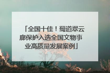 全国十佳！蜀道翠云廊保护入选全国文物事业高质量发展案例