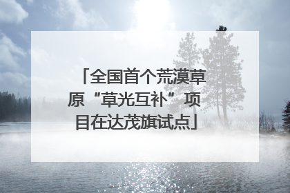 全国首个荒漠草原“草光互补”项目在达茂旗试点