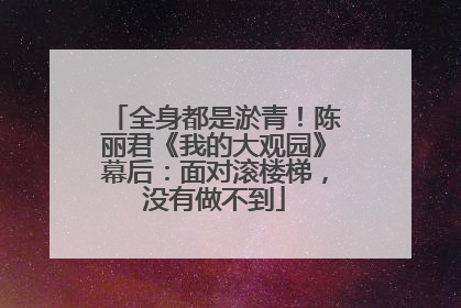 全身都是淤青！陈丽君《我的大观园》幕后：面对滚楼梯，没有做不到