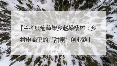 兰考县葡萄架乡赵垛楼村：乡村电商里的“甜蜜”创业路
