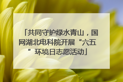 共同守护绿水青山，国网湖北电科院开展“六五”环境日志愿活动