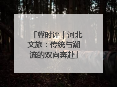 冀时评｜河北文旅：传统与潮流的双向奔赴