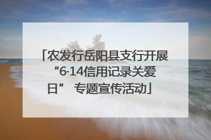 农发行岳阳县支行开展“6·14信用记录关爱日” 专题宣传活动