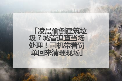 凌晨偷倒建筑垃圾？城管追查当场处理！司机带着罚单回来清理现场