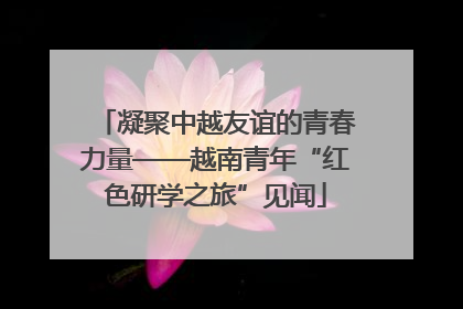 凝聚中越友谊的青春力量——越南青年“红色研学之旅”见闻
