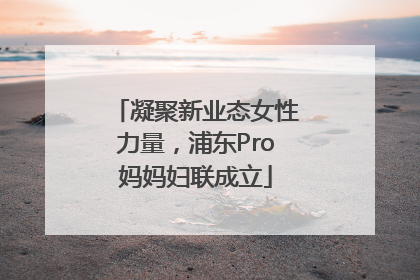 凝聚新业态女性力量，浦东Pro妈妈妇联成立