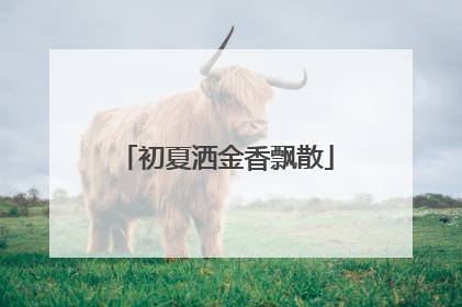 初夏洒金香飘散