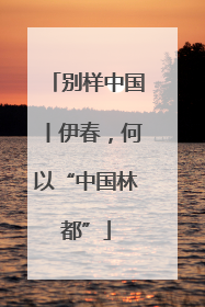 别样中国丨伊春，何以“中国林都”