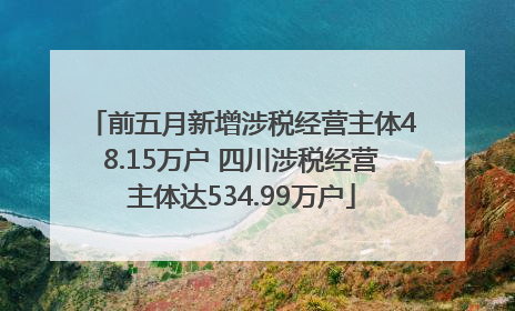 前五月新增涉税经营主体48.15万户 四川涉税经营主体达534.99万户
