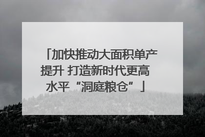 加快推动大面积单产提升 打造新时代更高水平“洞庭粮仓”
