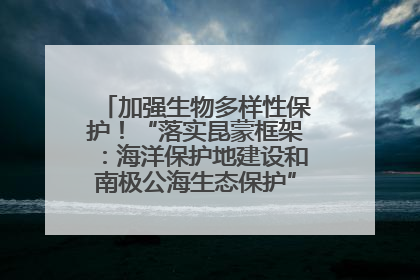 加强生物多样性保护！“落实昆蒙框架：海洋保护地建设和南极公海生态保护”主题论坛将举办