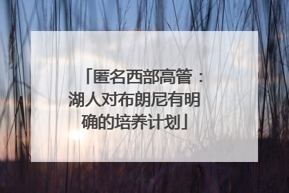 匿名西部高管：湖人对布朗尼有明确的培养计划