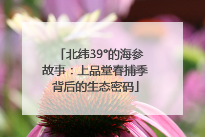 北纬39°的海参故事：上品堂春捕季背后的生态密码